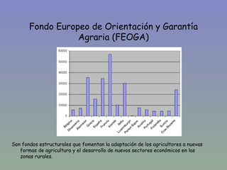 Fondo Europeo de Orientación y Garantía
                  Agraria (FEOGA)




Son fondos estructurales que fomentan la adaptación de los agricultores a nuevas
   formas de agricultura y el desarrollo de nuevos sectores económicos en las
   zonas rurales.
 