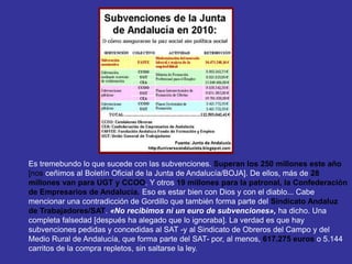 Es tremebundo lo que sucede con las subvenciones. Superan los 250 millones este año
[nos ceñimos al Boletín Oficial de la Junta de Andalucía/BOJA]. De ellos, más de 28
millones van para UGT y CCOO. Y otros 19 millones para la patronal, la Confederación
de Empresarios de Andalucía. Eso es estar bien con Dios y con el diablo... Cabe
mencionar una contradicción de Gordillo que también forma parte del Sindicato Andaluz
de Trabajadores/SAT. «No recibimos ni un euro de subvenciones», ha dicho. Una
completa falsedad [después ha alegado que lo ignoraba]. La verdad es que hay
subvenciones pedidas y concedidas al SAT -y al Sindicato de Obreros del Campo y del
Medio Rural de Andalucía, que forma parte del SAT- por, al menos, 617.275 euros o 5.144
carritos de la compra repletos, sin saltarse la ley.
 