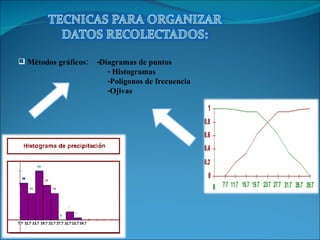 Métodos gráficos: - Diagramas de puntos - Histogramas -Polígonos de frecuencia -Ojivas
