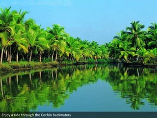 Enjoy a ride through the Cochin backwaters

 