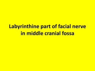 See the probe inserted through superior cochleostomy
from middle cranial fossa exactly corresponds to
superior cochleostomy just below tensor tympani from
middle ear
 