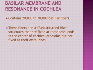  Contains 20,000 to 30,000 basillar fibers.
 These fibers are stiff,elastic,reed-like
structures that are fixed at their basal ends
in the center of cochlea (modiolus)but not
fixed at their distal ends.
 