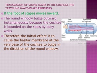  If the foot of stapes moves inward.
 The round window bulge outward
instantaneously because the cochlea
is bounded on the sides by bony
walls.
 Therefore,the initial effect is to
cause the basilar membrane at the
very base of the cochlea to bulge in
the direction of the round window.
 