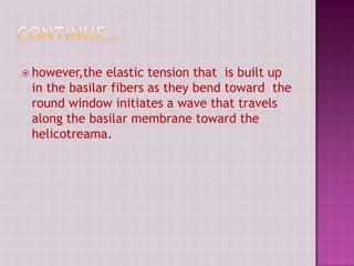  however,the elastic tension that is built up
in the basilar fibers as they bend toward the
round window initiates a wave that travels
along the basilar membrane toward the
helicotreama.
 