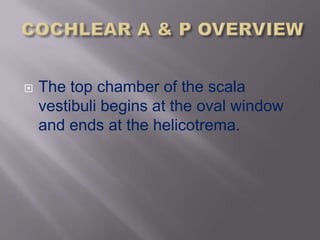    The top chamber of the scala
    vestibuli begins at the oval window
    and ends at the helicotrema.
 