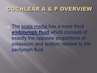   The scala media has a more thick
    endolymph fluid which consists of
    exactly the opposite proportions of
    potassium and sodium relative to the
    perilymph fluid.
 