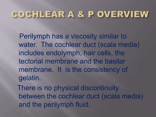 Perilymph has a viscosity similar to
water. The cochlear duct (scala media)
includes endolymph, hair cells, the
tectorial membrane and the basilar
membrane. It is the consistency of
gelatin.
There is no physical discontinuity
between the cochlear duct (scala media)
and the perilymph fluid.
 