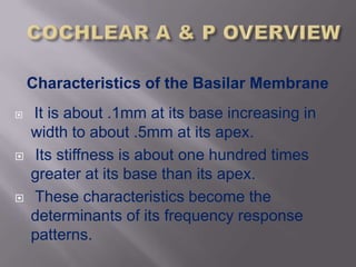 Characteristics of the Basilar Membrane
   It is about .1mm at its base increasing in
    width to about .5mm at its apex.
   Its stiffness is about one hundred times
    greater at its base than its apex.
   These characteristics become the
    determinants of its frequency response
    patterns.
 