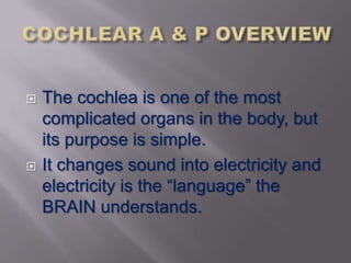    The cochlea is one of the most
    complicated organs in the body, but
    its purpose is simple.
   It changes sound into electricity and
    electricity is the “language” the
    BRAIN understands.
 