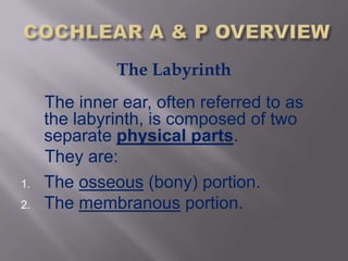 The Labyrinth
     The inner ear, often referred to as
     the labyrinth, is composed of two
     separate physical parts.
     They are:
1.   The osseous (bony) portion.
2.   The membranous portion.
 