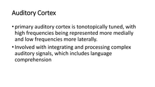 cochlear biophysics .pptx