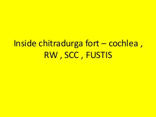 Inside chitradurga fort – cochlea ,
RW , SCC , FUSTIS
 
