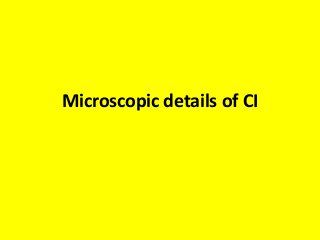 Microscopic details of CI
 