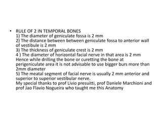 AIC = antero-inferior cochleosomy IC = inferior cochleostomy SC
= superior cochleosomy SVC = scala vestibular cochleosomy
MTC = middle turn cochleostomy STC = superior turn
cochleostomy FN = facial nerve IAC = internal auditory canal
 