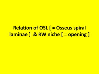 Schematic presentation of Grade I (IA)
ossification: only the area of the round
window is affected.
Grade I (IB) ossification: up to half of the
scala tympani of the basal turn is affected.
 