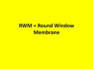 RW = Round Window - Is the
Human Round Window Really
Round?
Answer = NO
 