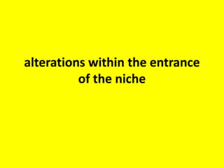 Microscopic / ENDOSCOPIC anatomy of Operculum
aio: anteroinferior overhang; po: postero-superior overhang; cf:
crista fenestrae.
Microscopic anatomy Endoscopic anatomy
 