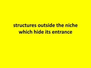 jugular dome = A less frequent but clinically very
important variation, the jugular dome can partially or even fully
hide the round window niche
 