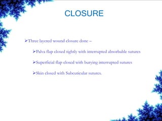 CLOSURE
Three layered wound closure done –
Palva flap closed tightly with interrupted absorbable sutures
Superficial fl...