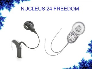 NUCLEUS 24 FREEDOM
 
