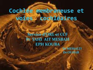 Cochlée membraneuse et
voies cochléaires
Service d’ORL et CCF
Pr YAHI AIT MESBAH
EPH KOUBA
Dr MESSALTI
Dr OUHAB
 