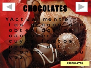 CHOCOLATES Actualmente, los granos son obtenidos del cacaotero, cuyos frutos penden del tronco, y a su vez,  chocolates 
