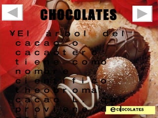 CHOCOLATES El árbol del cacao o cacaotero tiene como nombre científico theobroma cacao L. que proviene del griego y significa "alimento de los dioses".  chocolates 