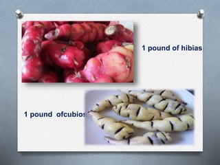 1 pound of hibias
1 pound ofcubios
 