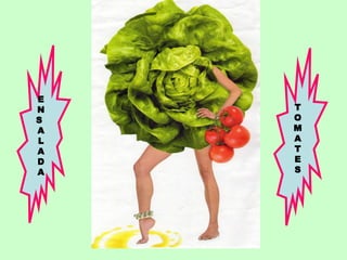 E N S A L A D A T O M A T E S