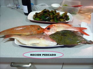 RECIEN PESCADO
