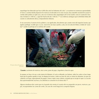 arqueólogos han detectado que hace 6.000 años atrás los habitantes de la isla “...se reunieron en numerosas oportunidades
                             en torno a curantos donde prepararon los mariscos recolectados en la costa cercana. Esta costumbre ancestral de cocinar la
                             comida sobre piedras se repite una y otra vez en diversos sitios arqueológicos de la isla Grande, como el curanto de Catru-
                             mán, fechado en 1.400 d.C, y aquel de Huicha del año 1.500 d.C.”.107 Las evidencias atestiguan que la identidad chilota del
                             curanto es culturalmente densa y temporalmente milenaria.

                             Si nos acercamos al universo de las palabras y sus signiﬁcados, descubrimos que curanto viene del mapuche kurantu, que
                             signiﬁca pedregal, vocablo que a su vez, viene de la raíz kura o piedra y antu, sol. En la Isla de Chiloé, se habla de “curan-
                             tear” cuando se participa en la comilona del curanto.




El carácter colectivo de la preparación
                            del curanto.

                             “Curanto: cocimiento de mariscos, otras carnes, panes de papa y legumbres a base de vapor.

                             Se prepara un hoyo, de uno o más metros de diámetro, el cual es rellenado con bolones, sobre los cuales se hace fuego
                             hasta que las piedras queden al rojo. Se despeja de tizones y sobre esa base de calor se vierten los alimentos, los que son
                             cubiertos con hojas, especialmente de pangue y lonas o tepes como cubierta, evitando que se escape el vapor. La cocción
                             dura aproximadamente una hora y los alimentos se consumen en el mismo sitio”.108

                             Algunos estudiosos dan cuenta que en el pasado más remoto el curanto sólo era preparado con peces, mariscos y pa-
                             pas, incorporándose las carnes de cerdo y las aves de corral luego de la conquista hispana.



114      COCINASDELEITOSA,DE CHILE, La Olla Deleitosa
         LA OLLA MESTIZAS Cocinas Mestizas de Chile
 