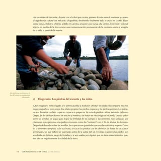 Hay un orden de cercanía y lejanía con el calor que cocina, primero lo más natural (mariscos y carnes)
                                      y luego lo más cultural (los milcaos y chapaleles), deviniendo ﬁnalmente todo lo crudo en cocido. El cu-
                                      ranto, nativo, chilote y chileno, ardido en canelos, propone una nueva olla-vientre, femenina y colosal,
                                      abierta en medio de la tierra como una conmemoración permanente de la necesaria unión y acogida
                                      de la vida, a pesar de la muerte.




Las piedras que se colocarán en la
base del curanto son pacientemente
                     seleccionadas.
                                      c)    Disgresión. Las piedras del curanto y los mitos

                                      ¿Qué imaginario mítico ligado a lo pétreo puebla la tradición chilota? Sin duda ella comparte muchos
                                      rasgos mapuches, pero posee dos relatos propios: las piedras capucas y las piedras piriman. Las prime-
                                      ras son llamadas también copucas, cupucas o quepucas. Se trata de piedras calizas, extraídas del cerro
                                      Chepu. Se les atribuye formas de macho y hembra y se frotan en ritos mágicos haciendo caer su polvo
                                      sobre las semillas de papas para lograr la fertilidad de los campos y las simientes. Son utilizadas por
                                      chamanes o por personas con poderes menores como los “curiosos”, con el ﬁn de abonar los terrenos.
                                      Después de frotarlas sobre las semillas, las capucas son guardadas con mucho cuidado y respeto. Cuan-
                                      do la sementera empieza a dar sus frutos, se sacan las piedras y se les ofrendan las ﬂores de las plantas
                                      germinadas, las que deben ser quemadas antes de la salida del sol. En otras ocasiones las piedras son
                                      sepultadas en la tierra luego de frotadas y, si son usadas por alguien que no tiene conocimientos, pue-
                                      den afectar negativamente la calidad de la tierra.




           118      COCINASDELEITOSA,DE CHILE, La Olla Deleitosa
                    LA OLLA MESTIZAS Cocinas Mestizas de Chile
 