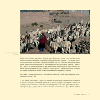 Los llamos y la pastora (altiplano
                   de Tarapacá).

                                     En los Andes hay datos que sugieren el uso de lajas calientes para cocinar, como lo evidencian las
                                     ﬁsuras que presentan las piedras encontradas en Telarmachay, Junín, Guañape y Virú, las que se pro-
                                     ducen cuando éstas se sumergen calientes en un líquido más frío. Todos estos antecedentes hacen
                                     pensar que este procedimiento pudo ser utilizado para cocer pescados, carnes, mariscos y tubércu-
                                     los. Como en los tempranos períodos en que aparecen estas evidencias aún no había cerámica, de-
                                     bieron utilizarse recipientes de cuero, calabaza o corteza de árbol.19 También los cuyes se cocinaron
                                     con piedras calientes en su interior20 o bien apretándolos entre dos piedras candentes.

                                     Lydia Flores21, migrante aymara en Arica, describe así la variedad de calapurcas que se preparan actual-
                                     mente en el norte de Chile:

                                     “…a la gente le gusta comer la calapurca en diferentes ocasiones, pero sobre todo a los curaditos en
                                     la mañana, cuando han trasnochado después de las ﬁestas. Es un plato contundente y llenador. La
                                     calapurca que yo conozco es la que viene con el mote pelado y con carne, que es lomo de alpaca.
                                     Tiene que ser alpaca, porque le da un sabor rico. Nosotros consumimos pura alpaca. A veces le echan




                                                                                                                                  II SABORES NORTINOS   27
 