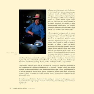 pollo, si es para 20 personas se echa el pollo ente-
                                                                                            ro. Pero no puede faltar la carne de alpaca porque
                                                                                            eso le da el sabor, la parte del lomo. Después se
                                                                                            le tira papa; como cuando se prepara el picante,
                                                                                            tiene que ser la papa molida; a eso se le echa ajo,
                                                                                            cebolla, sal y cilantro. Después la gente le echa
                                                                                            el ají a su gusto, un ají seco, rocoto (variedad de
                                                                                            ají costero), que venden en el terminal. La gente
                                                                                            aymara consume el puro rocoto. A la calapurca
                                                                                            le ponemos también un condimento que se llama
                                                                                            Sibarita22, que es rojito y tiene un poco de ají...”

                                                                                             “...En otras partes, la calapurca sólo se prepara
                                                                                             con mote y carne. Pero, lo más importante es que
                                                                                             la calapurca se tiene que cocer con piedras, pie-
                                                                                             dras del río. Así lo hace cocer. Por eso la comida
                                                                                             arriba (en el altiplano) queda rica por ese sabor y
                                                                                             también porque la gente usa la leña, la leña le da
                                                                                             otro sabor a las comidas. La piedra le da otro sa-
                                                                                             bor también. Uno tiene que calentar la piedra en
                                                                                             el fuego, después que está caliente, que se pone
                                                                                             blanca, se echa dentro de la olla y eso le da el
El untuoso caldo de la calapurca                                                             sabor rico. Las piedras preferidas son del río, pero
                       es servido.                                                           yo creo que otras también sirven, pueden ser esas
                                                                                             planitas. Hay que lavarlas bien no más. Cuando
                                     están bien calientes se echan a la olla. La piedra es la que le da sabor a la calapurca. Nosotros servimos
                                     el plato sin la piedra. En Camiña, la calapurca lleva sólo maíz pelado, carne y la piedra. El aderezo que
                                     le hacen es con cebollita y ajo, luego de servir le echan cilantro para el sabor, y papa también”.

                                     Observaciones realizadas23 en la ﬁesta de San Lorenzo de Tarapacá, nos muestran la preparación de
                                     una calapurca para ser consumida de madrugada por los danzantes y devotos. Grandes ollas de agua
                                     hirviendo reciben diversos tipos de carne desmenuzadas, papas, mote, cebolla. Simultáneamente en
                                     el fogón se calientan las piedras, las que luego se introducen en la fuente honda donde se ha vertido
                                     el guiso. La piedra, en contacto con el caldo humeante, provoca un nuevo hervor y el plato es servido
                                     ardiendo a la mesa.

                                     En muchos casos, sobre todo en el universo mestizo, la calapurca se prepara sin utilizar para su cocción
                                     las piedras calientes, así por ejemplo, una receta recientemente publicada24 entrega esta versión (ver en
                                     la página 30):



         28        COCINAS MESTIZAS DE CHILE, La Olla Deleitosa
 