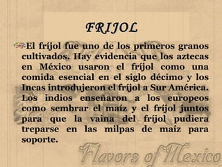 FRIJOL El fríjol fue uno de los primeros granos cultivados. Hay evidencia que los aztecas en México usaron el fríjol como una comida esencial en el siglo décimo y los Incas introdujeron el fríjol a Sur América. Los indios enseñaron a los europeos como sembrar el maíz y el fríjol juntos para que la vaina del fríjol pudiera treparse en las milpas de maíz para soporte. 