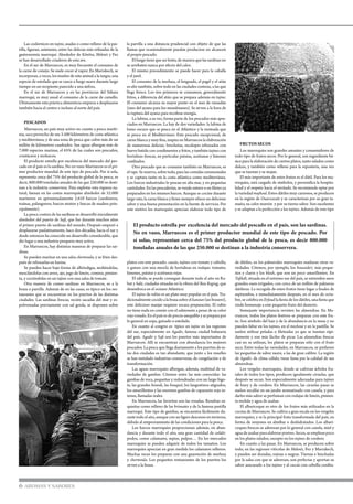 Las codornices en tajine, asadas o como relleno de la pas-
tilla, figuran, asimismo, entre las delicias más refinadas de la
gastronomía marroquí. Alrededor de Kénitra, Meknés y Fez
se han desarrollado criaderos de esta ave.
En el sur de Marruecos, es muy frecuente el consumo de
la carne de conejo. Se suele cocer al vapor. En Marrakech, se
incorporan, a veces, los muslos de este animal a la tangia, una
especie de estofado que se cuece a fuego suave durante largo
tiempo en un recipiente parecido a una ánfora.
En el sur de Marruecos y en las provincias del Sáhara
marroquí, es muy usual el consumo de la carne de camello.
Últimamente esta práctica alimenticia empieza a desplazarse
también hacia el centro e incluso al norte del país.
PESCADOS
	 Marruecos, un país muy activo en cuanto a pesca maríti-
ma, saca provecho de sus 3.500 kilómetros de costa atlántica
y mediterránea, y de una zona de pesca que cubre más de un
millón de kilómetros cuadrados. Sus aguas albergan más de
7.000 especies marinas, el 65% de las cuales son pescados,
crustáceos y moluscos.
El producto estrella por excelencia del mercado del pes-
cado en el país es la sardina. No en vano Marruecos es el pri-
mer productor mundial de este tipo de pescado. Por sí sola,
representa cerca del 75% del producto global de la pesca, es
decir, 800.000 toneladas anuales de las que 250.000 se desti-
nan a la industria conservera. Para explotar esta riqueza na-
tural, faenan en las costas marroquíes alrededor de 52.000
marineros en aproximadamente 2.610 barcos (sardineros,
traínas, palangreros, barcos mixtos y barcas de madera prin-
cipalmente).
La pesca costera de las sardinas se desarrolló inicialmente
alrededor del puerto de Safi, que fue durante muchos años
el primer puerto de sardinas del mundo. Después empezó a
desplazarse paulatinamente, hace dos décadas, hacia el sur y
desde entonces ha conocido un desarrollo considerable, que
dio lugar a una industria pesquera muy activa.
En Marruecos, hay distintas maneras de preparar las sar-
dinas.
Se pueden marinar en una salsa chermoula, y se fríen des-
pués de rebozarlas en harina.
Se pueden hacer bajo forma de albóndigas, moliéndolas,
mezclándolas con arroz, ajo, jugo de limón, comino, pimien-
ta, y cociéndolas en un tajine con una salsa de tomate.
Otra manera de comer sardinas en Marruecos, es a la
brasa o parrilla. Además de en las casas, es típico en los res-
taurantes que se encuentran en los puertos de las distintas
ciudades. Las sardinas frescas, recién sacadas del mar y es-
polvoreadas previamente con sal gorda, se disponen sobre
la parrilla a una distancia prudencial con objeto de que las
llamas que ocasionalmente puedan producirse no alcancen
al propio pescado.
El fuego tiene que ser lento, de manera que las sardinas no
se arrebaten nunca por efecto del calor.
El mismo procedimiento se puede hacer para la caballa
y el jurel.
El consumo de la merluza, el lenguado, el pagel y el atún
es alto también, sobre todo en las ciudades costeras, a las que
llega fresco. Los tres primeros se consumen, generalmente
fritos, a diferencia del atún que se prepara además en tajine.
El consumo alcanza su mayor punto en el mes de ramadán
(mes del ayuno para los musulmanes). Se sirven a la hora de
la ruptura del ayuno para recobrar energía.
La lubina, a su vez, forma parte de los pescados más apre-
ciados en Marruecos. La hay de dos variedades: la lubina de
lomo oscuro que se pesca en el Atlántico y la moteada que
se pesca en el Mediterráneo. Este pescado excepcional, de
carne blanca y muy fina, inspira en Marruecos la elaboración
de numerosas delicias: brochetas, escalopes rebozados con
huevo batido con condimentos y fritos, y también tajines con
hortalizas frescas, en particular patatas, aceitunas y limones
confitados.
Otro pescado que se consume también en Marruecos, es
el rape. Se reserva, sobre todo, para las comidas ceremoniales
y se captura tanto en la costa atlántica como mediterránea.
Los barcos industriales lo pescan en alta mar, y en pequeñas
cantidades. En las pescaderías, se vende entero o en filetes ya
preparados en los mismos barcos. Aunque se cocine durante
largo rato, la carne blanca y firme siempre ofrece un delicioso
sabor y una buena presentación en la fuente de servicio. Por
este motivo los marroquíes aprecian elaborar todo tipo de
FRUTOS SECOS
	 Los marroquíes son grandes amantes y consumidores de
todo tipo de frutos secos. Por lo general, son ingrediente bá-
sico para la elaboración de ciertos platos, tanto salados como
dulces, y también como relleno para la repostería, una vez
que se tuestan y se majan.
El más importante de estos frutos es el dátil. Para los ma-
rroquíes, está cargado de símbolos, y personifica la hospita-
lidad y el respeto hacia el invitado. Se recomienda optar por
la variedad majhoul. Estos dátiles muy carnosos, se producen
en la región de Ouarzazate y se caracterizan por su gran ta-
maño, su color marrón y por su tierno sabor. Son excelentes
y se adaptan a la perfección a los tajines. Además de este tipo
6 AROMAS Y SABORES
El producto estrella por excelencia del mercado del pescado en el país, son las sardinas.
No en vano, Marruecos es el primer productor mundial de este tipo de pescado. Por
sí solas, representan cerca del 75% del producto global de la pesca, es decir 800.000
toneladas anuales de las que 250.000 se destinan a la industria conservera.
platos con este pescado: cuscús, tajines con tomate y cebolla,
o guisos con una mezcla de hortalizas en rodajas: tomates,
limones, patatas y aceitunas rojas.
El sábalo, se puede conseguir durante todo el año en Ra-
bat y Salé, ciudades situadas en la ribera del Bou Regrag, que
desemboca en el océano Atlántico.
El tajine de rubio es un plato muy popular en el país. Tra-
dicionalmente cocido a la brasa sobre elkanoun (un brasero),
este delicioso manjar requiere escaza preparación. El rubio
no tiene nada en común con el salmonete a pesar de su color
rojo rosado. En el país es de precio asequible y se prepara por
lo general en sopa, guisado o estofado.
En cuanto al congrio es típico en tajine en las regiones
del sur, especialmente en Agadir, famosa ciudad balnearia
del país. Agadir y Safi son los puertos más importantes de
Marruecos. Allí se encuentran con abundancia los mejores
pescados. La pesca que llega diariamente a los puertos de es-
tas dos ciudades es tan abundante, que junto a los muelles
se han instalado industrias conserveras, de congelación y de
transformación.
Las aguas marroquíes albergan, además, multitud de va-
riedades de gambas. Citemos entre las más conocidas: las
gambas de roca, pequeñas y redondeadas con un largo bigo-
te, las grandes bourak, las bouquet, los langostinos atigrados,
los amarillentos y las enormes gambas de caparazón rojo in-
tenso, llamadas reales.
En Marruecos, las favoritas son las rosadas. Resultan ex-
quisitas como relleno de las briouates y de la famosa pastilla
marroquí. Este tipo de gambas, se encuentra fácilmente du-
rante todo el año, aunque con un ligero descenso en invierno,
debido al empeoramiento de las condiciones para la pesca.
Los barcos marroquíes proporcionan además, en abun-
dancia y durante todo el año, una gran cantidad de cefaló-
podos, como calamares, sepias, pulpos… En los mercados
marroquíes se pueden adquirir de todos los tamaños. Los
marroquíes aprecian en gran medida los calamares rellenos.
Muchas veces los preparan con una guarnición de merluza
y chermoula. Los pequeños restaurantes de los puertos los
sirven a la brasa.
de dátiles, en los palmerales marroquíes maduran otras va-
riedades. Citemos, por ejemplo, los bousoukri, más peque-
ños y claros y los bleuh, que son un poco amarillentos. En
Tafilalt, situada en el extremo sur del país, se extienden unos
grandes oasis irrigados, con cerca de un millón de palmeras
datileras. La recogida de estos frutos tiene lugar a finales de
septiembre, e inmediatamente después, en el mes de octu-
bre, se celebra en Erfoud la fiesta de los dátiles, una fiesta que
rinde homenaje a este pequeño fruto del desierto.
Semejante importancia revisten las almendras. En Ma-
rruecos, todos los platos festivos se preparan con este fru-
to. Son símbolo del lujo y de la abundancia en la mesa y no
pueden faltar en los tajines, en el mechoui y en la pastilla. Se
suelen utilizar peladas o fileteadas ya que se tuestan rápi-
damente y son más fáciles de picar. Las almendras frescas
casi no se utilizan, los platos se preparan sólo con el fruto
seco. Entre todas las variedades, en Marruecos, se prefieren
las pequeñas de sabor suave, a las de gran calibre. La región
de Agadir, de clima cálido, tiene fama por la calidad de sus
almendras.
Los vergeles marroquíes, donde se cultivan árboles fru-
tales de todos los tipos, producen igualmente ciruelas, que
después se secan. Son especialmente adecuadas para tajines
de buey y de cordero. En Marruecos, las ciruelas pasas se
suelen escalfar en un jarabe aromatizado con canela, y para
darles más sabor se perfuman con rodajas de limón, pimien-
ta molida y agua de azahar.
El albaricoque es otro de los frutos más utilizados en la
cocina de Marruecos. Se cultiva a gran escala en los vergeles
marroquíes, y es la principal fruta transformada del país, en
forma de orejones en almíbar o deshidratados. Los albari-
coques frescos se aderezan por lo general con canela, miel y
agua de azahar para elaborar postres. Secos, se emplean poco
en los platos salados, excepto en los tajines de cordero.
En cuanto a las pasas. En Marruecos, se producen sobre
todo, en las regiones vitícolas de Meknés, Fez y Marrakech,
y pueden ser doradas, rojizas o negras. Tiernas e hinchadas
por la salsa con que se aderezan, son perfectas y aportan su
sabor azucarado a los tajines y al cuscús con cebolla confita-
 