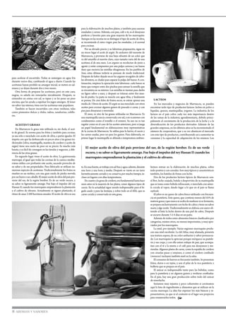 para acelerar el encurtido. Todas se sumergen en agua fría
durante varios días, cambiando el agua a diario. Cuando las
aceitunas hayan perdido su amargor inicial, se meten en sal-
muera y se dejan durante dos o tres meses.
Otra forma de preparar las aceitunas, pero en este caso,
negras, es salarla sin remojarlas inicialmente. Después, se
extienden en cestas con sal, se tapan y se les pone un peso
encima, que les ayuda a expulsar los jugos amargos. Al tener
un sabor tan intenso, éstas son las aceitunas más populares.
También se hacen encurtidos con otras verduras, tales
como pimientos dulces y chiles, nabos, zanahorias, coliflo-
res.
	Aceites y grasas
	 En Marruecos la grasa más utilizada es, sin duda, el acei-
te de girasol. Es norma para los fritos y también para cocinar,
ya sea solo o mezclado con aceite de oliva, a partes iguales. El
ímpetu con que ha desbancado en pocos años a las grasas tra-
dicionales (oliva, mantequilla, manteca de cordero y aceite de
argán) tiene una razón de peso en su precio. Es mucho más
barato, y es fácil de conseguir en las tiendas y negocios, a dife-
rencia de las otras grasas.
En segundo lugar viene el aceite de oliva. La gastronomía
marroquí, al igual que todas las cocinas de la cuenca medite-
rránea utiliza con profusión este aceite, sacando provecho de
su sabor y de sus propiedades. Para fabricarlo se utilizan nu-
merosas especies de aceitunas. Tradicionalmente los frutos se
muelen en un molino, con una gran rueda de piedra movida
porunburroouncaballo.Elmejoraceitedeolivadelpaíspro-
viene del sur, de la región bereber. Es de un verde oscuro, y
su sabor es ligeramente amargo. Fue bajo el impulso del rey
Hassan II cuando los marroquíes emprendieron la plantación
y el cultivo de olivares. Actualmente se siguen plantando, al
ritmo de unas 3.500 hectáreas anuales. El aceite de oliva se usa
para la elaboración de muchos platos, y también para sazonar
ensaladas y carnes. Además, con pan, café o té, es el desayuno
perfecto y favorito para una gran mayoría de los marroquíes.
Aunque en las recetas no se distingue el tipo de aceite de oliva,
se recomienda el extra virgen para las ensaladas, y el normal
para cocinar.
Por su elevado precio y su laboriosa preparación, sigue en
un tercer lugar el aceite de argán. Es exclusivo del suroeste de
Marruecos, y proviene de una baya silvestre de un color que
va del amarillo al marrón claro, cuyo tamaño varía del de una
aceituna al de una nuez. Los arganes se recolectan de junio a
agosto y están compuestos por una pulpa carnosa y un hueso
duro que encierra las semillas oleaginosas. En los pueblos de
Sous, estas últimas todavía se prensan de modo tradicional.
Después de haber dejado secar los arganes recogidos de árbo-
les silvestres, se chafan para separar la pulpa del hueso. A con-
tinuación, empieza la operación más laboriosa: cada hueso se
tiene que romper entre dos piedras para extraer la semilla que
se encuentra en su interior. Las semillas se tuestan para darles
un ligero sabor a nuez, y después se trituran entre dos mue-
las de piedra. La pasta se mezcla con agua tibia, y finalmente
se prensa. De cien kilos de frutos secos, se extrae apenas una
media de 3 litros de aceite. El argán se usa mezclado con otros
aceites para cocinar algunos guisos de pescado o carne, y con
pan para desayunar o merendar.
El smen, es otra de las grasas utilizadas en Marruecos. Es
una mantequilla rancia conservada con sal, y en ocasiones con
condimentos como el tomillo o el romero. Su uso no es tan
regular como en el caso de los aceites anteriores, pero sí juega
un papel fundamental en elaboraciones muy representativas
de la cocina de Marruecos. Se utiliza para la harira, el cuscús y
las carnes asadas, pero no para los guisos. Para elaborarla, en
primer lugar la mantequilla se ablanda a temperatura ambien-
LACTEOS
	 En los mercados y negocios de Marruecos, se pueden
encontrar todo tipo de productos lácteos: leches en polvo o
líquidas, quesos, mantequillas, yogures. La industria de los
lácteos en el país cobra cada vez más importancia dentro
de las ramas de la industria agroalimentaria, debido princi-
palmente al crecimiento de la producción de la leche y a la
diversificación de los productos derivados. Además de las
grandes empresas, en los últimos años se ha incrementado el
número de cooperativas, que a su vez abastecen el mercado
con este tipo de productos, contribuyendo así a aumentar su
consumo y la capacidad de adquisición de los mismos. Los
8 AROMAS Y SABORES
El mejor aceite de oliva del país proviene del sur, de la región bereber. Es de un verde
oscuro, y su sabor es ligeramente amargo. Fue bajo el impulso del rey Hassan II cuando los
marroquíes emprendieron la plantación y el cultivo de olivares.
te.Enunafuente,setrabajaconsalfinayaguacaliente,durante
una hora y una hora y media. Después se vierte en un tarro
herméticamente cerrado y se conserva por mucho tiempo, in-
cluso en lugares con altas temperaturas.
Encuantoalagrasadecordero,erafundamentalhastahace
unos años en la mayoría de los platos, como algunos tipos de
cuscús. En la actualidad sigue siendo indispensable para el hí-
gado asado y para las lentejas, y sobre todo en el khlii, que es
carne cocida y conservada en esta grasa.
lácteos entran en la elaboración de muchos platos, sobre
todo postres y con cereales. Son muy típicos y característicos
también, los batidos de frutas con leche.
Dos de los productos lácteos típicos de Marruecos son:
el lben, leche cuajada, batida y desprovista de su mantequilla
que se toma como bebida refrescante, o mezclada con sémo-
la cocida al vapor, dando lugar a lo que en el país se llama
saykouk.
El jeben es un queso de cabra fresco utilizado con frecuen-
cia en pastelería. Este queso, que contiene menos del 45% de
materiagrasayquenuncaseacabademadurarnisefermenta,
se prepara exclusivamente con leche de cabra y tiene un sabor
suave y algo ácido. Tradicionalmente se elabora con suero ob-
tenido al batir la leche dentro de una piel de cabra. Después
se escurre durante 3 ó 4 días en un paño.
Además de todos estos alimentos básicos clasificados por
categorías, existen otros, no menos importantes, y muy apre-
ciados por los marroquíes.
La miel, por ejemplo. Varias regiones marroquíes produ-
cen una miel excelente. La del Atlas, muy afamada, presenta
una textura espesa, de un color ambarino y sabor pronuncia-
do. Los marroquíes la aprecian porque enriquece su pastele-
ría y sus creps, y con ella untan rodajas de pan, que acompa-
ñan con el té a la menta o el café para sus desayunos y me-
riendas. Algunos platos de carne, como la espalda de cordero
con ciruelas pasas y orejones, o como el cordero confitado
(mrouzia) incluyen también miel en la salsa.
El consumo de huevos es frecuente también. Se presentan
fritos, duros o en tajine, y son el pilar de la rica pastelería y
bollería que se prepara en el país.
El azúcar es indispensable tanto para las bebidas, como
para la pastelería y en algunos guisos y verduras confitadas.
En el país, hay una gran producción sobre todo del azúcar
de remolacha.
Seríamos muy injustos y poco coherentes si cerráramos
aquí la lista de ingredientes y alimentos que se utilizan en la
cocina marroquí. La idea fue exponer los más básicos y re-
presentativos, ya que ni el contexto ni el lugar son propicios
para enumerarlos todos. •
 