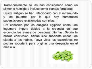 Tradicionalmente se las han considerado como un
alimento humilde e incluso como plantas forrajeras
Desde antiguo se han relacionado con el inframundo
y los muertos por lo que hay numerosas
supersticiones relacionadas con ellas.
Era conocida por los antiguos egipcios como una
legumbre impura debido a la creencia de que
escondía las almas de personas difuntas. Según la
misma convicción, habría sido suficiente echar una
ojeada a las habas, (cuya vista los sacerdotes no
podían soportar), para originar una desgracia en el
mas allá.
 