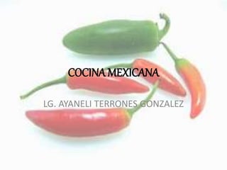 COCINA MEXICANA
LG. AYANELI TERRONES GONZALEZ
 
