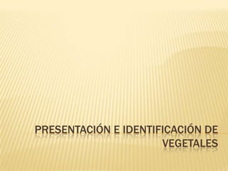 PRESENTACIÓN E IDENTIFICACIÓN DE VEGETALES 