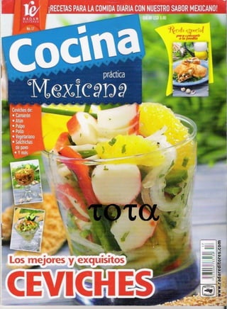 Cocina practica mexicana_27