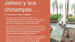 Jalisco y sus
chinampas….
• Para poder dar un fundamento científico a la
investigación gastronómica la chef Maru Toledo consultó
a Rodrigo Esparza sobre el crecimiento de algunos
alimentos en la región por medio de chinampas.
• Las lluvias se forman en una especie de laboratorio con
operaciones físico-bio-químicas que ocurren a nivel de la
atmósfera. Con ellas se cumple no sólo el ciclo del agua,
sino también el ciclo de una serie de elementos
químicos listos para alimentar a la tierra.
• Por si fuera poco, durante el tiempo de aguas se generan
además cargas y descargas eléctricas y magnéticas en
la tierra y en el cielo que hacen posible que estos
 