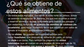 ¿Qué se obtiene de
estos alimentos?
• De todos estos manjares, son los de la zona norte de Jalisco, donde
se asientan ecosistemas de desierto, los que nos enseñan a comer
y reservar alimentos de esta temporada para cuando los paisajes
son sedientos. Entonces se guardan las semillas de calabaza (de
acualaista), para hacer riquísimos tacos que adicionan con salsa de
tomate al molcajete, enchilosísima y deliciosa.
• De los elotes. Se guardan las mazorcas cocidas para
hacer huachales, que después se comerán en caldo, en tortas,
en mole o en dulce. Pero también se preparan los elotes
tatemados (que se cuecen en una especie de torre por más de 10
Esta foto de Autor desconocido está bajo licencia CC BY-NC-ND
 