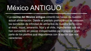 México ANTIGUO
• La cocina del México antiguo cimentó las bases de nuestra
actual alimentación. Desde el período prehispánico se conocen
las bondades de infinidad de alimentos de nuestra tierra como
el maíz, nopal, amaranto, frijol y el chile, ingredientes que se
han convertido en piezas indispensables para preparar gran
parte de los platillos que degustamos con la sazón que nos
caracteriza.
Esta foto de Autor desconocido está bajo licencia CC BY-NC-ND
 