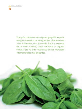 cocina saludable6
Este país, dotado de una riqueza geográfica que le
otorga características inmejorables, ofrece no sólo
a sus habitantes, sino al mundo, frutas y verduras
de la mejor calidad, sanas, nutritivas y seguras,
ventaja que ha sido reconocida en los mercados
internacionales más exigentes.
 