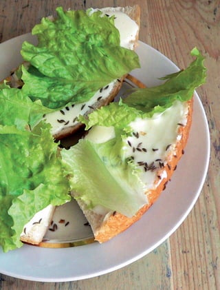 94
94 cocina saludable
 