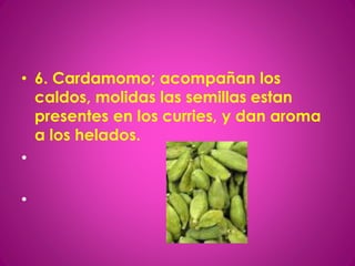 • 6. Cardamomo; acompañan los
caldos, molidas las semillas estan
presentes en los curries, y dan aroma
a los helados.
•
•
 