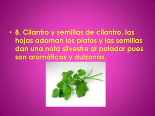 • 8. Cilantro y semillas de cilantro, las
hojas adornan los platos y las semillas
dan una nota silvestre al paladar pues
son aromáticas y dulzonas.
 