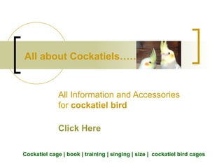 All Information and Accessories for  cockatiel bird Click Here Cockatiel cage | book | training | singing | size |  cockatiel bird cages All about Cockatiels………….!!!! 
