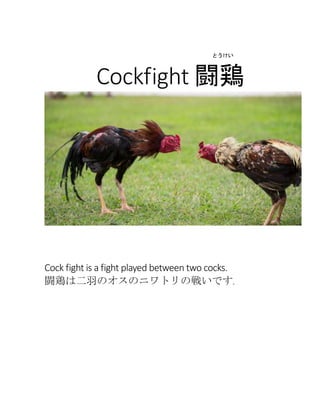とうけい 
Cockfight 闘鶏 
Cock fight is a fight played between two cocks. 
闘鶏は二羽のオスのニワトリの戦いです。 
 